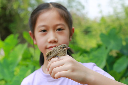 Little sparrow sitting on kid hand, taking care of birds, friendship. Concept of nature of life. Focus at small bird.の写真素材