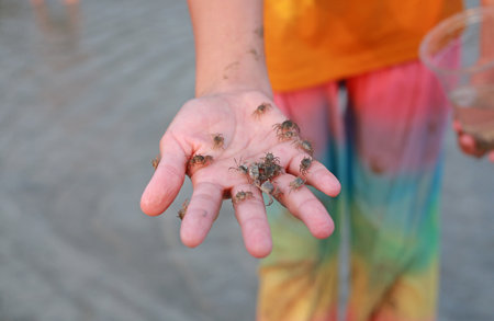 Close-up young girl hand holding small crab.