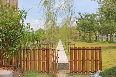 Japanese style wooden gate in traditional japan garden.の写真素材