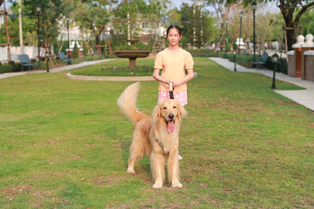 Portrait of Golden retriever and girl lying on the grass in the garden. Focus at pet.の写真素材
