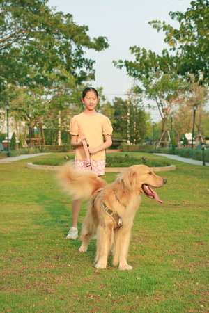 Portrait of Golden retriever and girl lying on the grass in the garden. Focus at pet.