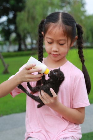 Kitten with feeding by girl child. Focus at small cat.の写真素材