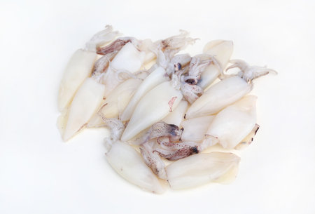 Fresh squids isolated on white studio background.の写真素材