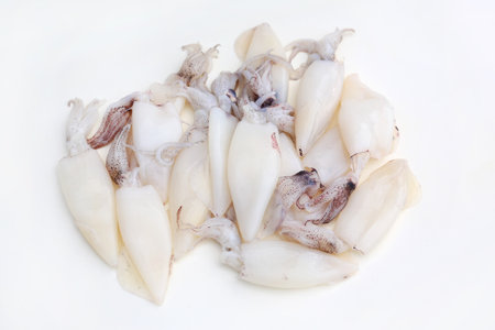 Fresh squids isolated on white studio background.の写真素材