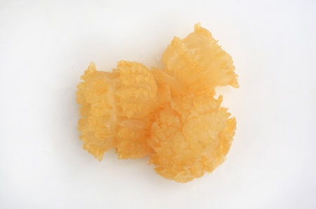 Cannonball Jellyfish (Stomolophus meleagris) against white background. A raw, unique, and gelatinous seafood. Top view.の写真素材