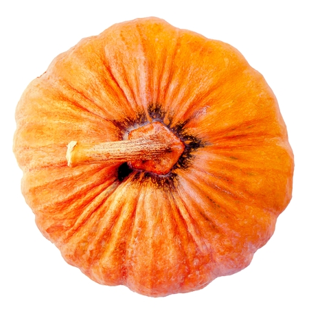 Fresh orange pumpkin isolated on white background, top viewの写真素材