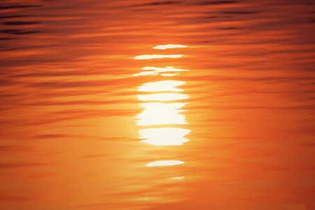 Water surface in the light of the setting sunの写真素材