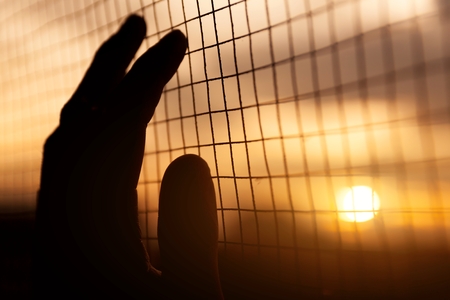 sunset, prison, background, fence, hand, silhouette, freedom, people, sun, sky, man, metal, female, jail, prisoner, concept, holding, wire, wall, protection, mesh, hands, chain, link, nature, religion, cage, barbed, security, help, god, lonely, crime, freの写真素材