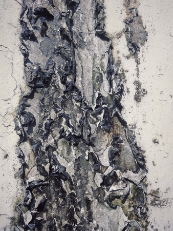 grunge wall textureの写真素材