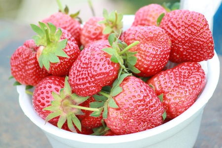 strawberry poo tub-berk, Patchabonの写真素材