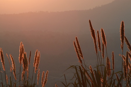 You can see viwe this,near the postoffice in Khao Kor .の写真素材