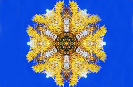 Abstract six-final star with patterns. Illustration.の写真素材