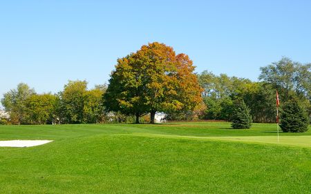 Golf course green and fairwayの写真素材