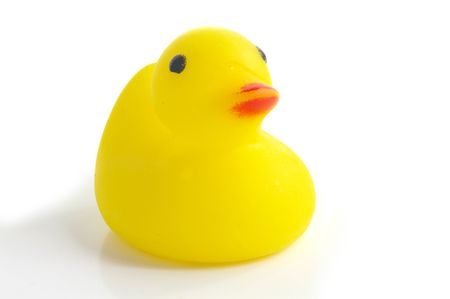 Rubber duckyの写真素材