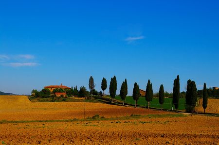 Landcape of a Italian tuscan villa and lebanese cedar treesの写真素材