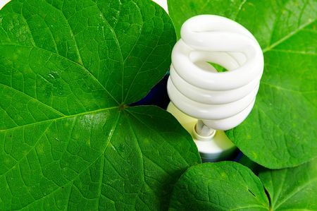 compact fluorescent light bulb and green leaves (green power)の写真素材
