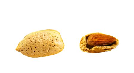 almond nut in shell, and craked open, isolated on whiteの写真素材