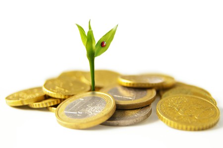 new growth from Euro coins - financial conceptの写真素材