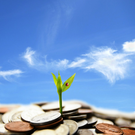 new plant shoot growing from money, against blue skyの写真素材