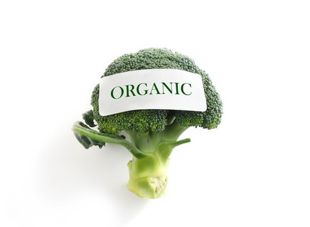 Fresh broccoli on white with Organic labelの写真素材