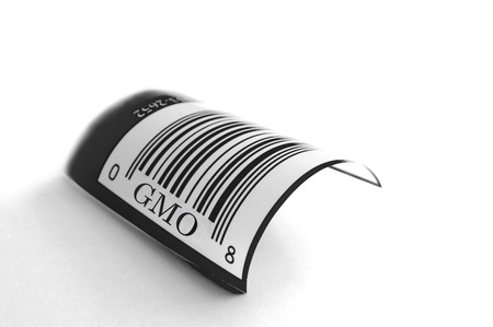 closeup of a GMO UPC symbol on whiteの写真素材