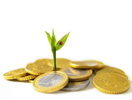 new plant growth from Euro coins - financial growth conceptの写真素材