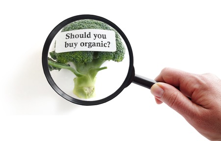 Hand with magnifying glass over broccoli Should You Buy Organic labelの写真素材