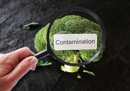 Contamination label on broccoli, being examined by a person with magnifying glassの写真素材