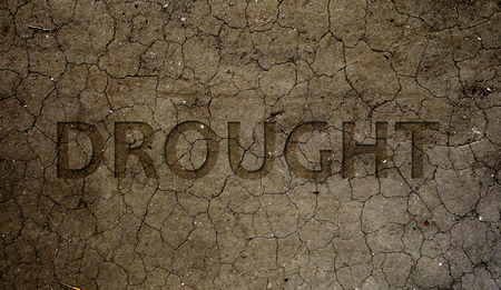 Drought text over dry and cracked brown dirt                       の写真素材