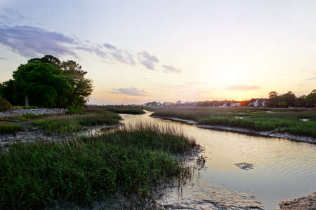 View of coastal marsh lands in the Low Country near Charleston SC at sunsetの写真素材