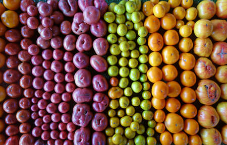 Local North Carolina grown heirloom tomatoes for sale at the State Farmers Market in Raleighの写真素材