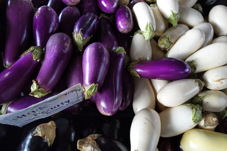 Locally grown eggplant for sale at the State Farmers Market in Raleigh, NCの写真素材