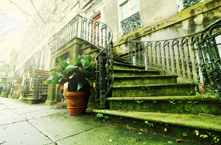 Historic homes on a quiet street in Savannah Georgiaの写真素材