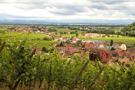 Aerial view over the valley and town Kaysersberg Alsace Franceの写真素材