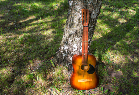 Wooden Acoustic Guitar on the grass near the tree with sunspots