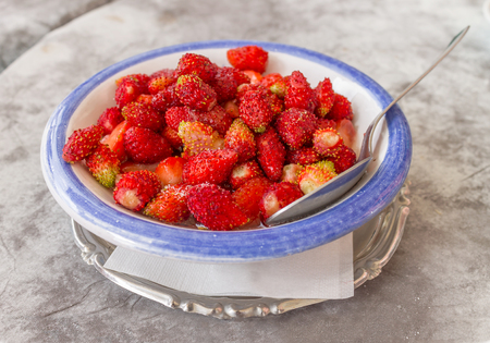 Strawberry with sugar powder in ceramic bowl on stone background. Heathy dessertの写真素材