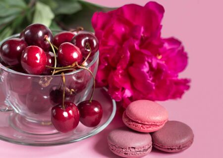 Cherries in the glass cup with macaroons and peony on pinkの写真素材