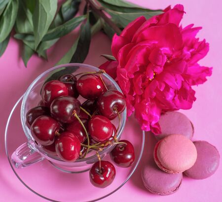 Cherries in the glass cup with macaroons and peony on pinkの写真素材