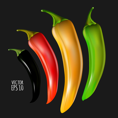 Set black, red, amber, green peppers isolated on black backgroundのイラスト素材