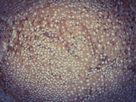 Abstract background. vignetting. Purple and brown shades. For banners, posters and your other designs.の写真素材