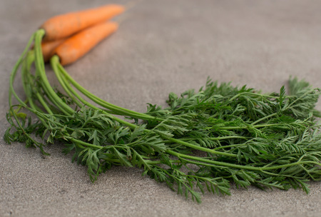 Carrots on the stone backgroundの写真素材