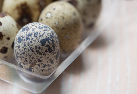 some eggs of quail in the plastic boxの写真素材