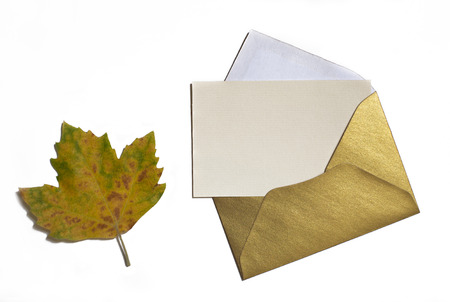 Autumn leaf on white background with card invitation and golden envelopeの写真素材