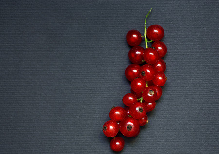 Red currant on the dark paper backgroundの写真素材
