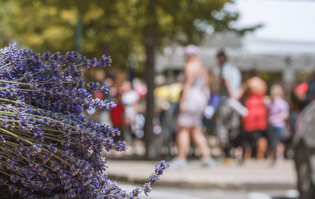 Bunch of lavander in market of Provence with blurred crowd on background. France.の写真素材