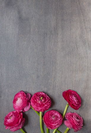 Some red peonies on dark wooden background. Top view