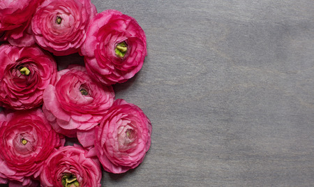 Some red peonies on dark wooden background. Top view