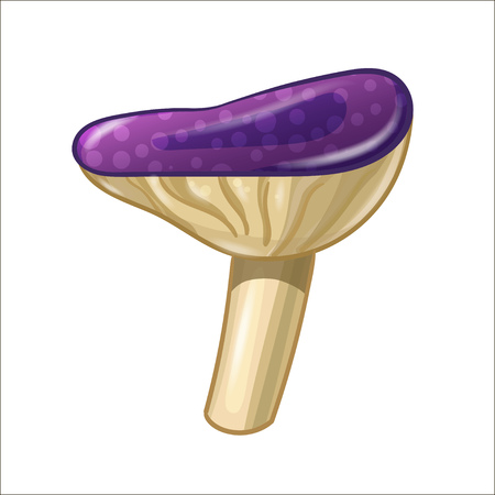 Cartoon coloured mushroom isolated on white background.のイラスト素材