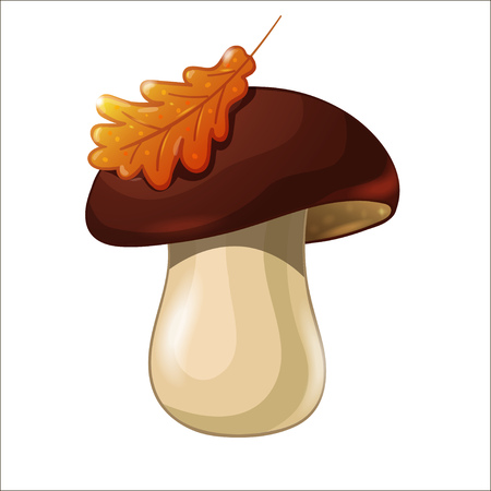 Cartoon colored mushroom isolated on white background. Porcini with oak leaf.のイラスト素材