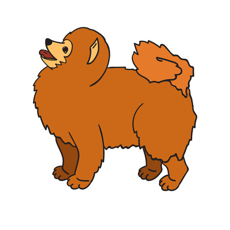 Cute ginger spitz isolated on white background. Funny dog.のイラスト素材